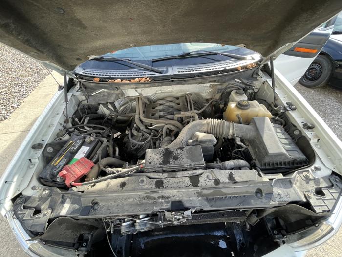 2011 ford f-150 with 262379 miles for sale near elk-river, minnesota 0dae47a2ece94f868e39ad47ad61d7e5.jpg