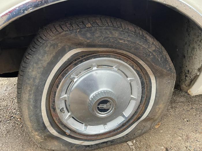 1965 oldmosbile dynamic for sale near elk-river, minnesota 4865be92df9440bf9cee3fa652234bfd.jpg