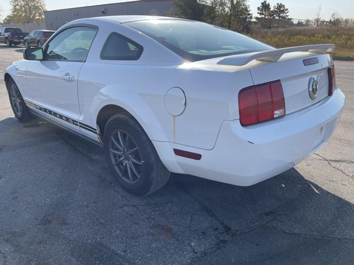 2005 ford mustang sel with 98429 miles for sale near elk-river, minnesota 65c1f80856f149d3b7449a3adb5a793e.jpg