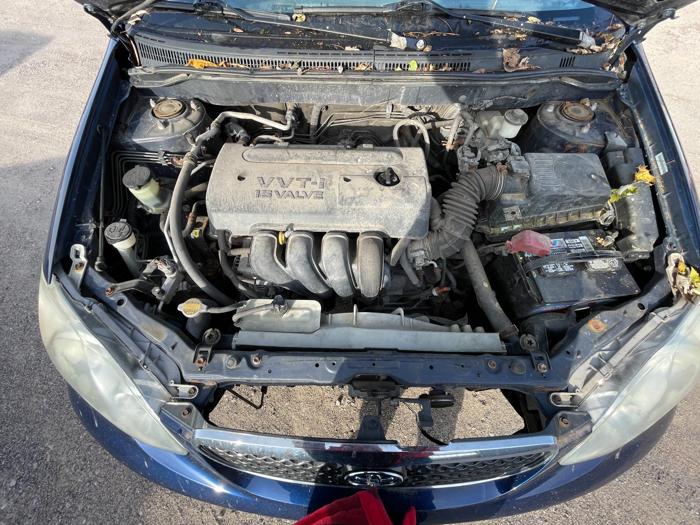 2007 toyota corolla with 281661 miles for sale near elk-river, minnesota 7ed5ffbd99dd4eea8b25d6c6858b45af.jpg
