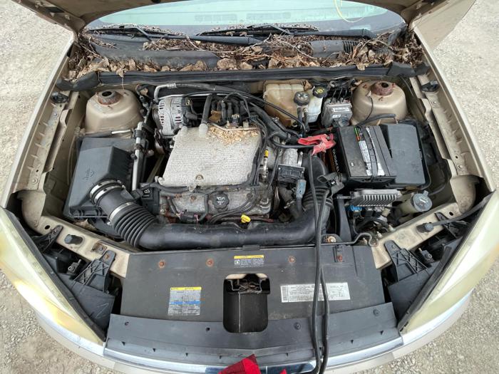 2005 chevrolet malibu ls with 205892 miles for sale near elk-river, minnesota b44880366b284d1bb6946d7000d44a8f.jpg