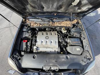 2002 cadillac deville sel with 112326 miles for sale near elk-river, minnesota 11c071a55e71487984313bbb94e53d78.jpg