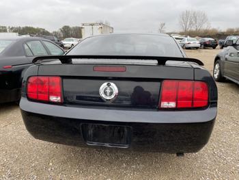2005 ford mustang deluxe for sale near elk-river, minnesota 1d5b4576412d47e4ab1380645223471b.jpg