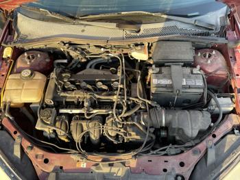 2007 ford focus sel with 134632 miles for sale near elk-river, minnesota 20c79ae1dd8e441f8343029be293b1f3.jpg