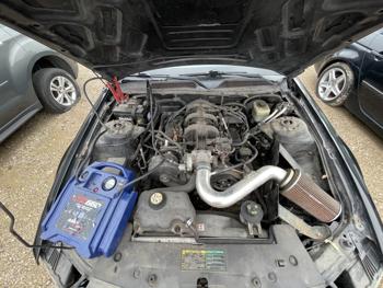 2005 ford mustang deluxe for sale near elk-river, minnesota 298e74a66b384620974175aceace6f9a.jpg