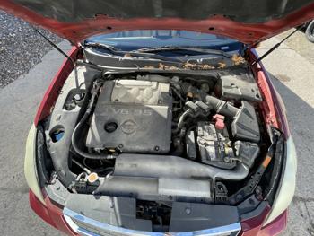 2008 nissan maxima with 113500 miles for sale near elk-river, minnesota 39539aa4aefd481f8cc6cdf88d068a05.jpg