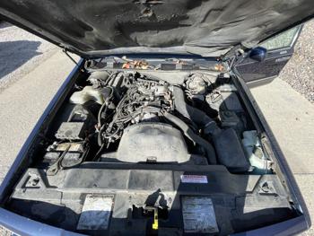 1997 lincoln town-car sel with 171572 miles for sale near elk-river, minnesota 59c24c56d11341aabd70250a62996357.jpg