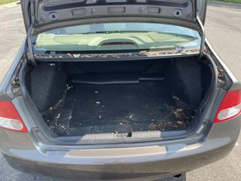 2010 honda civic lx with 202649 miles for sale near elk-river, minnesota 5a711aec4c7c407084e8429c4b6700f4.jpg