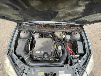 2005 pontiac g6-gt sel with 143042 miles for sale near elk-river, minnesota 6578e1e0bf824e7089e4f7210c3f0d01.jpg