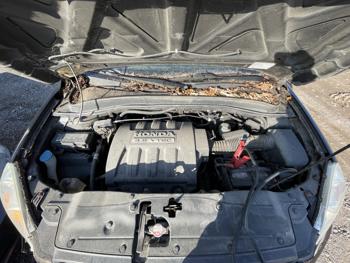 2005 honda pilot lx for sale near elk-river, minnesota 6f5ccc49f127416087ab7f49d8208e0a.jpg