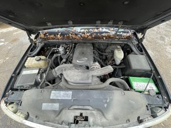 2003 gmc yukon with 303806 miles for sale near elk-river, minnesota 75b8635a70f34672be2dcd0ad6da4c8f.jpg