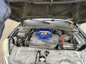 2004 honda pilot ex-l with 225186 miles for sale near elk-river, minnesota 8751be952fff4b75afa939cfbcff1ab7.jpg