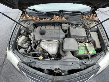 2011 toyota camry base with 187278 miles for sale near elk-river, minnesota c808333e34e140c3ac6af8469799c796.jpg
