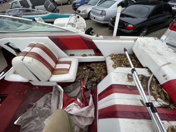 1988 sea-ray cuddy for sale near elk-river, minnesota ca255564233d4cdbbad219b6f17389b4.jpg
