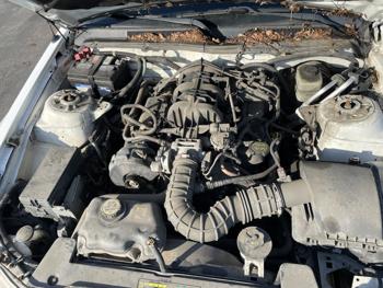 2005 ford mustang sel with 98429 miles for sale near elk-river, minnesota d7d9d3d6ead843c2a572eaed6ab3b769.jpg
