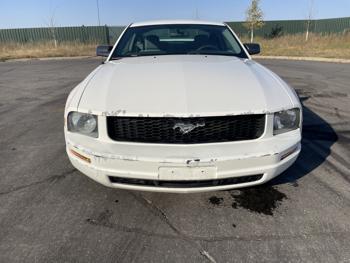 2005 ford mustang sel with 98429 miles for sale near elk-river, minnesota da34f3c99c8c45958f78b6607ea1a893.jpg