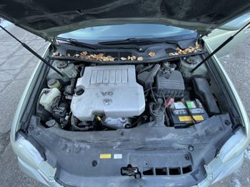 2005 toyota avalon xl with 295805 miles for sale near elk-river, minnesota eebd82112de14287b92611d5063b74d5.jpg