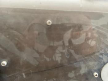 2000 mirrocraft striker for sale near elk-river, minnesota fad5cb8e04ab45b9a0df3380d7617ee8.jpg