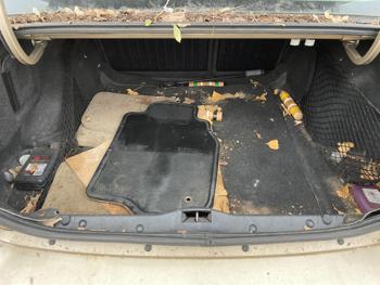 2005 chevrolet malibu ls with 205892 miles for sale near elk-river, minnesota fe725502e4fd421c968435e0467626af.jpg
